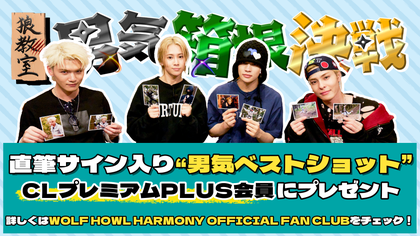 WOLF HOWL HARMONY WHH 武者修行 直筆 チラシ タレントグッズ