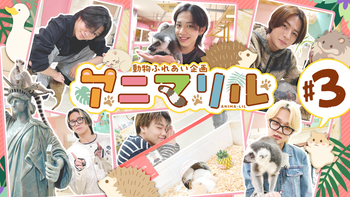 中村竜大の動画・MV | CL - LDH所属アーティストの動画・MV視聴サービス